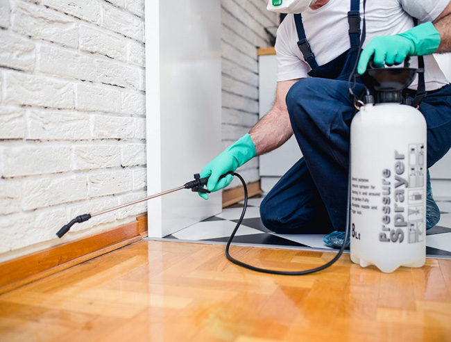 best pest control company